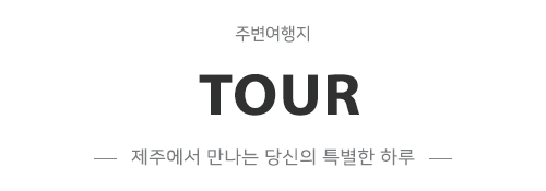이미지명